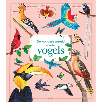 De wondere wereld van de vogels (Hardback) bij Singel 344