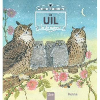 De uil (Hardback) bij Singel 344
