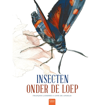 Insecten onder de loep (Hardback) bij Singel 344