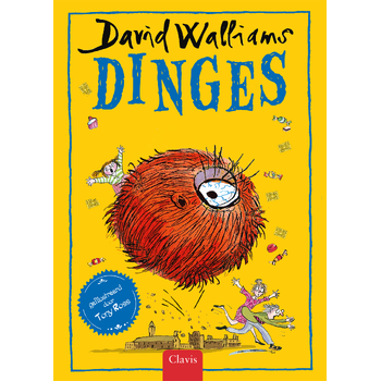 Dinges (Hardback) bij Singel 344