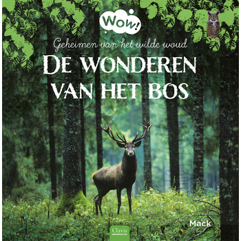 De wonderen van het bos (Hardback) bij Singel 344