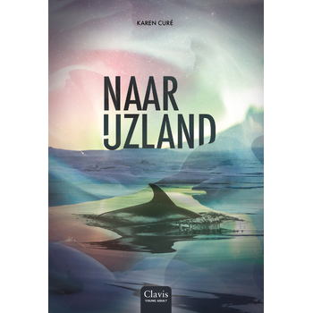 Naar IJzland (Hardback) bij Singel 344