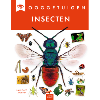 Insecten (Hardback) bij Singel 344
