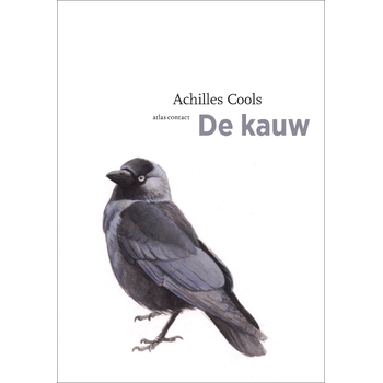 De kauw (Paperback) bij Singel 344