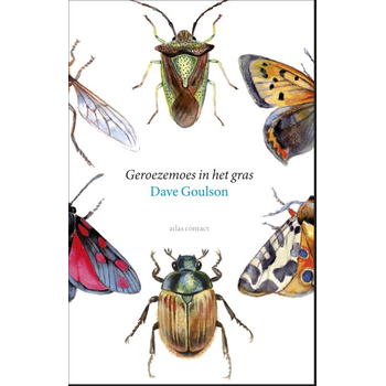 Geroezemoes in het gras (Paperback) bij Singel 344