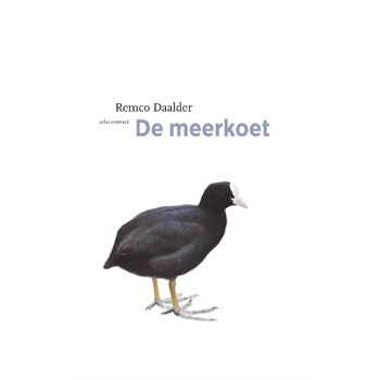 De meerkoet (Paperback) bij Singel 344