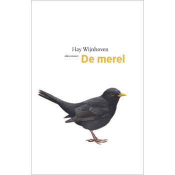 De merel (Paperback) bij Singel 344