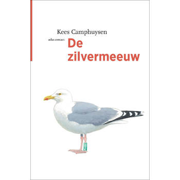De zilvermeeuw (Paperback) bij Singel 344