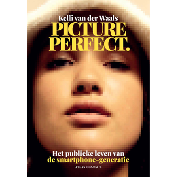 Picture perfect (Paperback) bij Singel 344