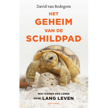 Het geheim van de schildpad (Paperback) bij Singel 344