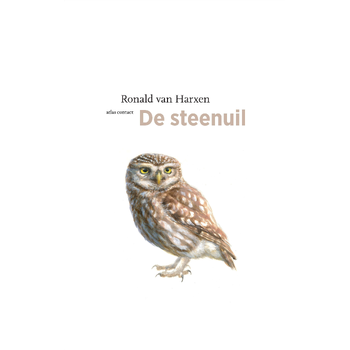 De steenuil (Paperback) bij Singel 344