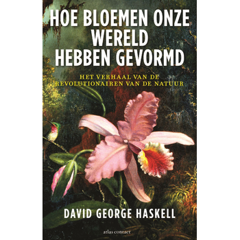 Hoe bloemen onze wereld hebben gevormd (Paperback) bij Singel 344