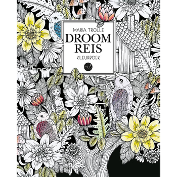 Droomreis kleurboek (Hardback) bij Singel 344