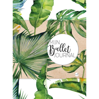 Mijn bullet journal (Paperback) bij Singel 344