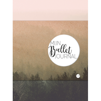 Mijn bullet journal (Paperback) bij Singel 344
