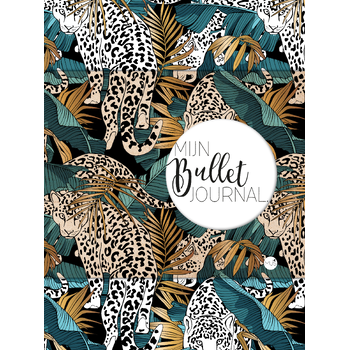 Mijn Bullet Journal (Paperback) bij Singel 344