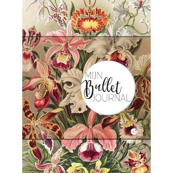 Orchidee (Paperback) bij Singel 344