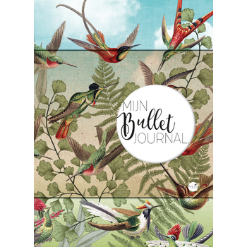 Kolibrie (Paperback) bij Singel 344