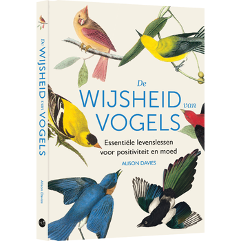 De wijsheid van vogels (Hardback) bij Singel 344