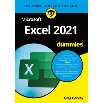 Microsoft Excel 2021 voor Dummies (Paperback) bij Singel 344