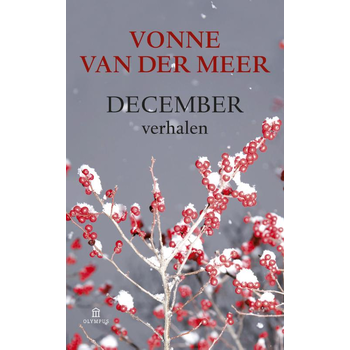 December (Paperback) van Vonne Meer