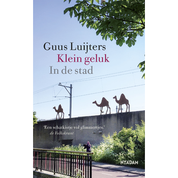 Klein geluk In de stad (Hardback) van Guus Luijters