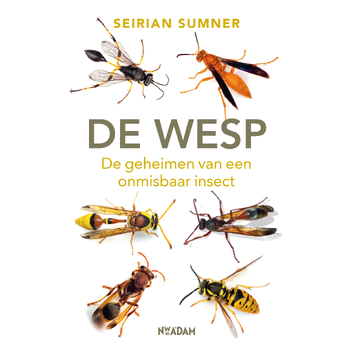 De wesp (Paperback) bij Singel 344