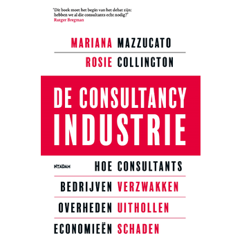 De consultancy industrie (Paperback) bij Singel 344