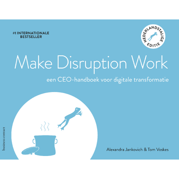 Make Disruption Work (Paperback) bij Singel 344