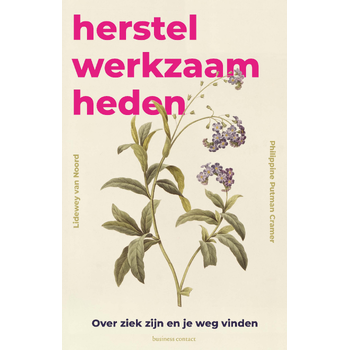 Herstelwerkzaamheden (Paperback) bij Singel 344