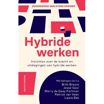 Hybride werken (Paperback) bij Singel 344