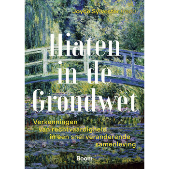 Hiaten in de Grondwet (Paperback) bij Singel 344