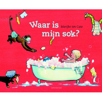 Waar is mijn sok? (Hardback) bij Singel 344