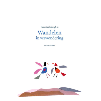 Wandelen in verwondering (Hardback) bij Singel 344