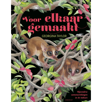 Voor elkaar gemaakt (Hardback) bij Singel 344