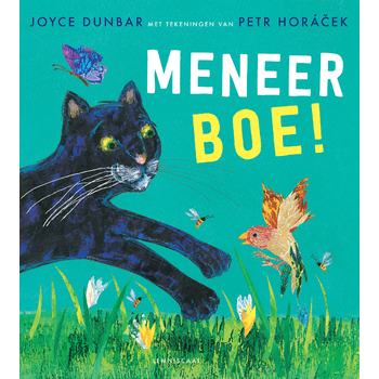 Meneer boe! (Hardback) bij Singel 344