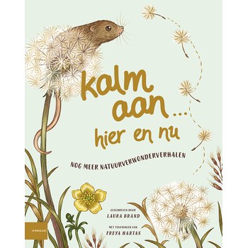 Kalm aan… Hier en nu (Hardback) bij Singel 344