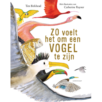 Zo voelt het om een vogel te zijn (Hardback) bij Singel 344