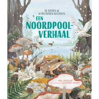 Een Noordpoolverhaal (Hardback) bij Singel 344