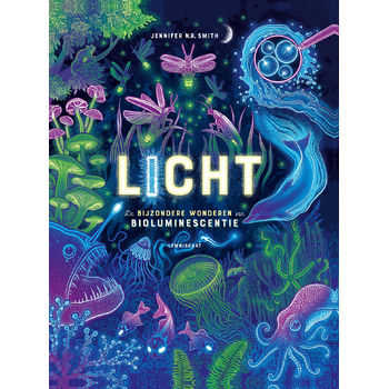 Licht (Hardback) bij Singel 344
