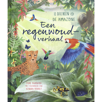 Een regenwoudverhaal (Hardback) van Jane Burnard