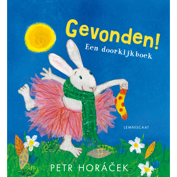 Gevonden! (Hardback) bij Singel 344