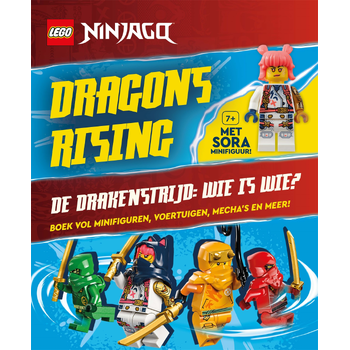 Dragons Rising (Hardback) bij Singel 344