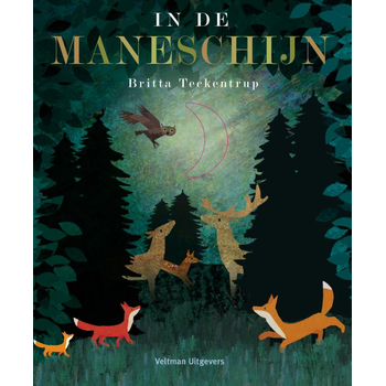 In de maneschijn (Hardback) bij Singel 344