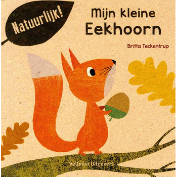 Mijn kleine eekhoorn (Paperback) bij Singel 344