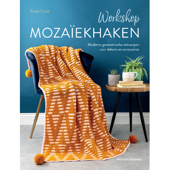 Workshop mozaïekhaken (Paperback) bij Singel 344