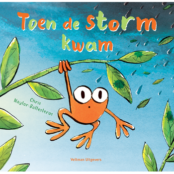 Toen de storm kwam (Hardback) bij Singel 344