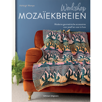 Workshop mozaïekbreien (Paperback) bij Singel 344
