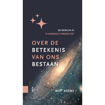 Over de betekenis van ons bestaan (Hardback) bij Singel 344