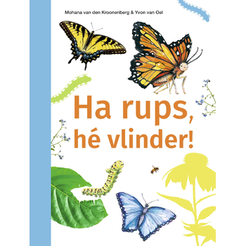 Ha rups, hé vlinder! (Hardback) bij Singel 344